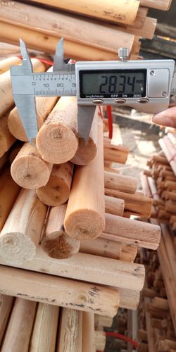 桉木木芯实物图片「中木商网」高清图片,产品效果图,更多木材精美贴图