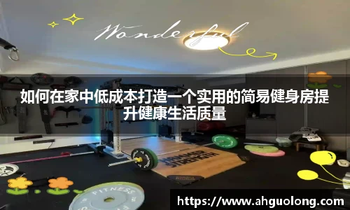 如何在家中低成本打造一个实用的简易健身房提升健康生活质量